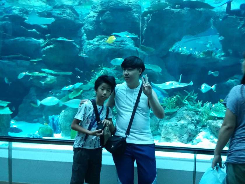 Michael's family took him to the aquarium and anime shops